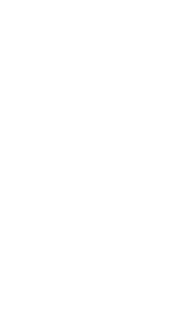 SW3